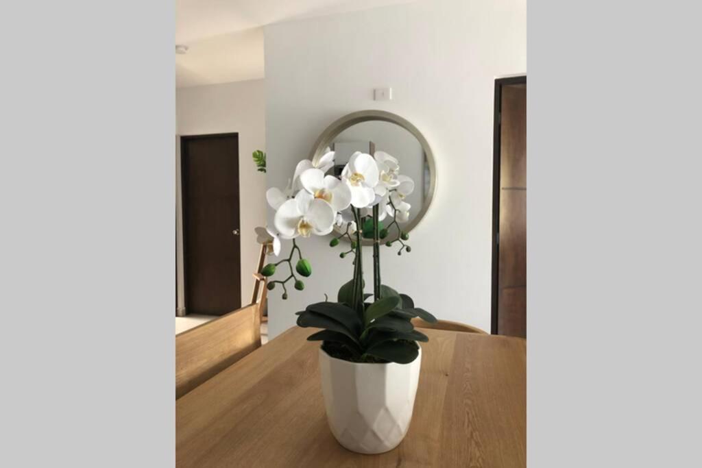 Modern Decor Apartment Near Ocean 马萨特兰 外观 照片